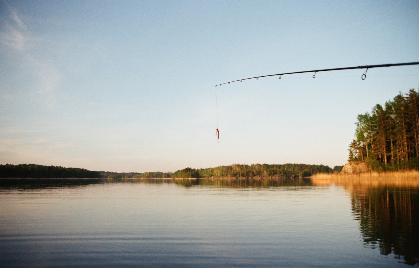 5 Rekomendasi Joran Terbaik untuk Pemancing Pemula